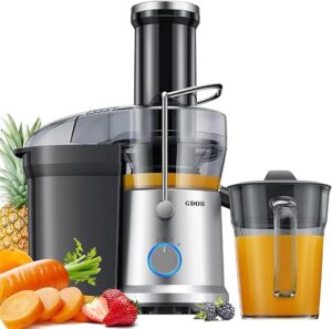GDOR 1200W Juicer — Turn Whole Fruits into Juice FAST